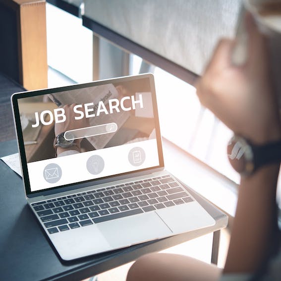 Job Search